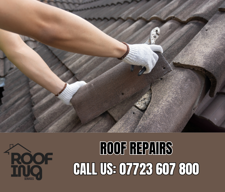 Professional roof repair services in Paignton